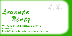 levente mintz business card